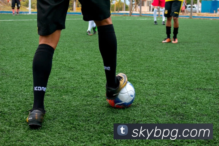 pg官网服务体系